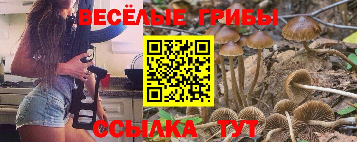 Галлюциногенные грибы Cubensis Похвистнево