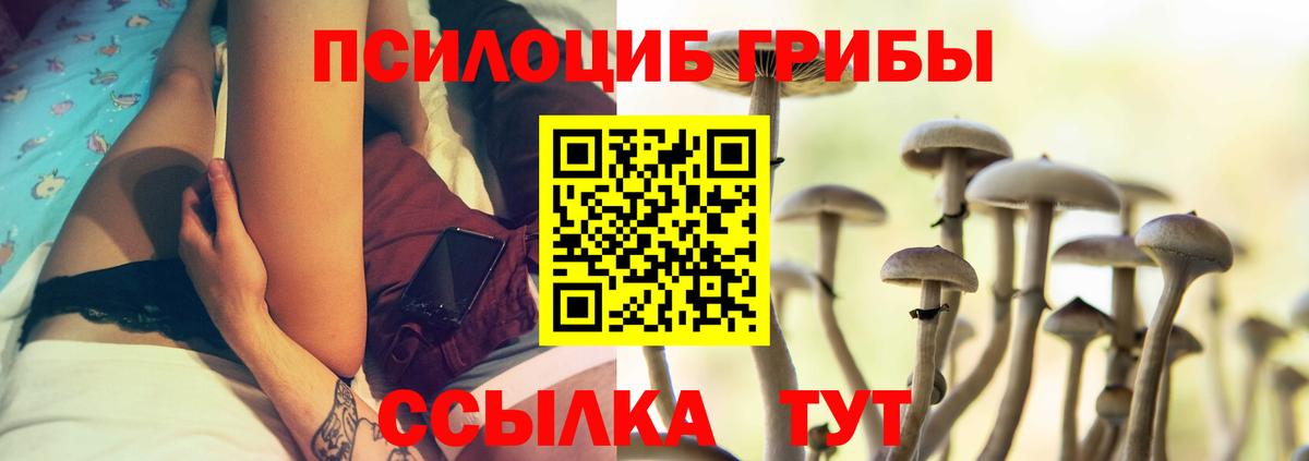 Похвистнево  Псилоцибиновые грибы мухоморы  Вход с VPN 